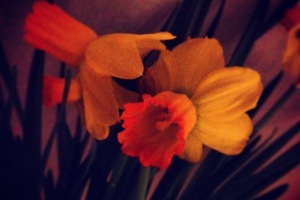 Week 50: Katarzyna Tryczynska