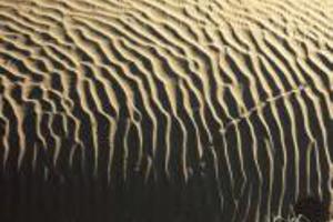 Week 2: Vicky Francken