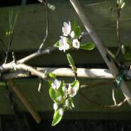 Week 3: Ton Naaijkens