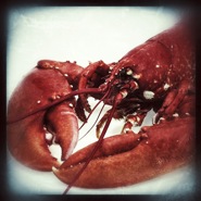 Week 10: Isabelle Bambust