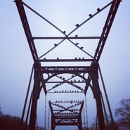 Week 51: Ton Naaijkens