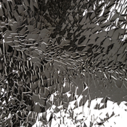 Week 4: Ton Naaijkens