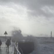 Week 7: Anna-Lou Dijkstra