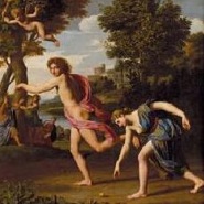 Week 12: Ton Naaijkens