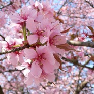 Week 21: Christiane Kuby