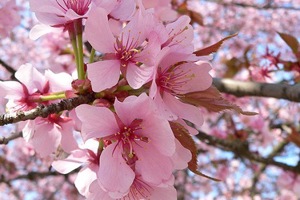 Week 21: Christiane Kuby