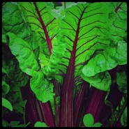 Week 27: Anne van Buul