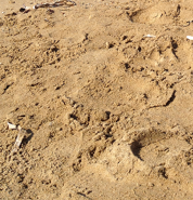 Week 26: Thomas Langerak