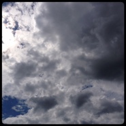 Week 29: David Cohen