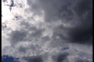 Week 29: David Cohen