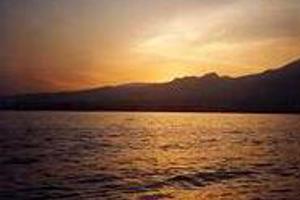 Week 31: Desiree Schyns