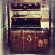 Week 33: Ton Naaijkens