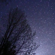 Week 34: Ton Naaijkens