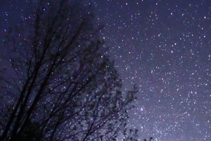 Week 34: Ton Naaijkens