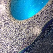 Week 39: Ton Naaijkens