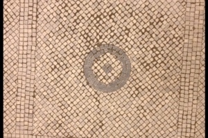 Week 41: Cees Koster