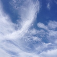 Week 48: Broomans & Jongsma