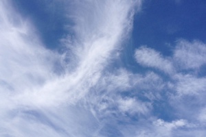 Week 48: Broomans & Jongsma