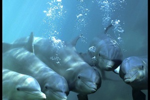 Week 1: Onno Kosters