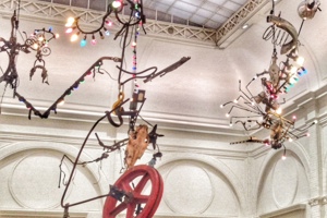 Week 3: Ton Naaijkens