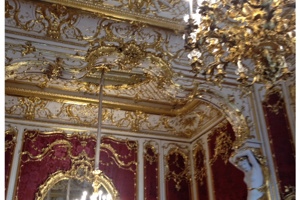 Week 14: Ton Naaijkens