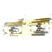 Week 26: Isabelle Bambust