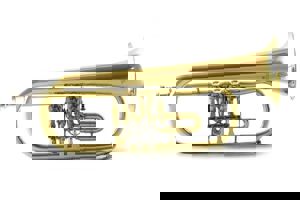 Week 26: Isabelle Bambust