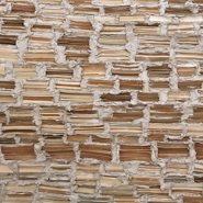 Week 33: Rien Verhoef