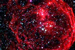 Week 2: Lisa Mensing