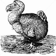 Week 10: Harm-Jan van Dam