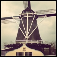 Week 17: Heleen Oomen