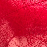 Week 34: Floris Cohen