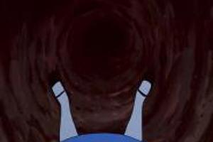 Week 44: Janne Van Beek