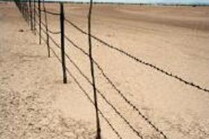 Week 46: Koen Boelens