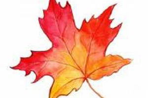 Week 48: Bert de Waart