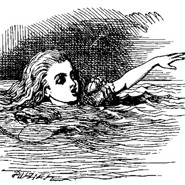 Week 51: Janne Van Beek