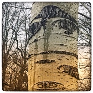 Week 1: Ton Naaijkens