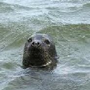 Week 5: Bert de Waart