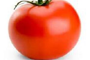 Week 6: Veerle De Bruyn