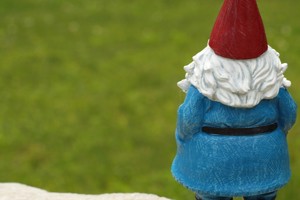 Week 15: Vera Magnússon