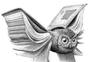 Week 16: Henri Bloemen