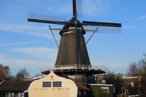 Week 17: Heleen Oomen