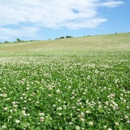 Week 27: Christiane Kuby