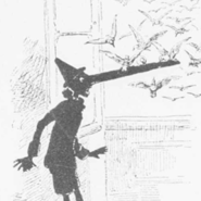 Week 35: Ton Naaijkens