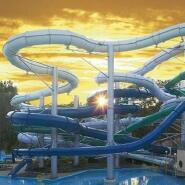 Week 37: Lorenz De Witte-Vroman