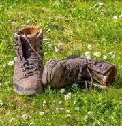 Week 38: Janne Van Beek