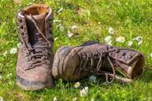 Week 38: Janne Van Beek