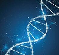 Week 39: Harm-Jan van Dam