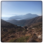 Week 41: Ton Naaijkens