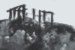 Week 50: Menkveld en Lesmeister